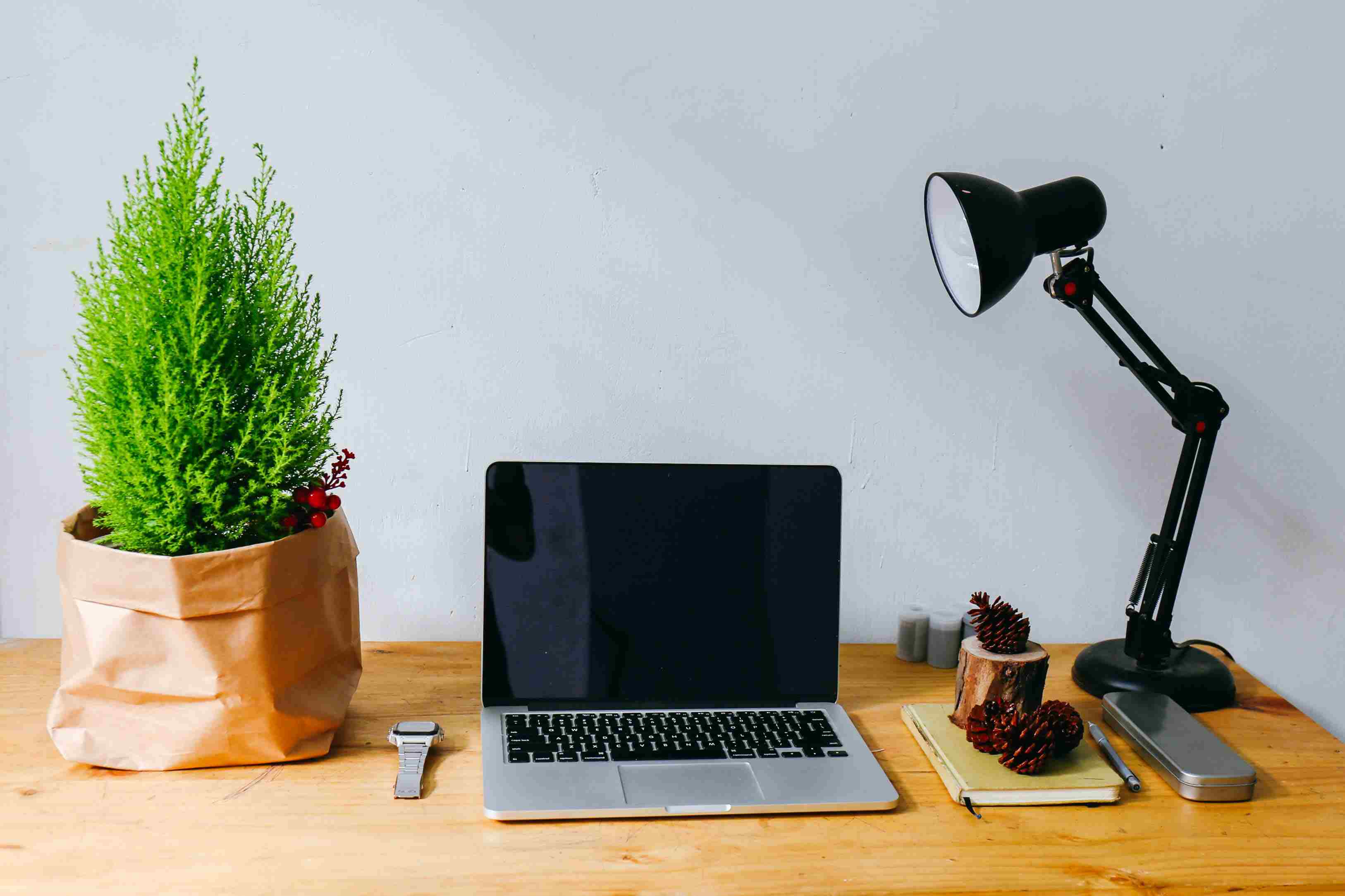 Software Development ERP CRM Ecommerce